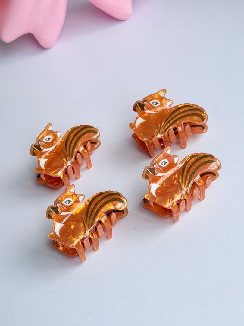 MINI ARDILLAS