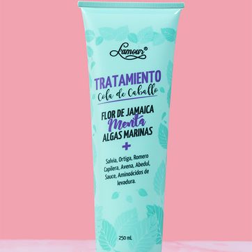 Tratamiento Cola de Caballo - imagen 2