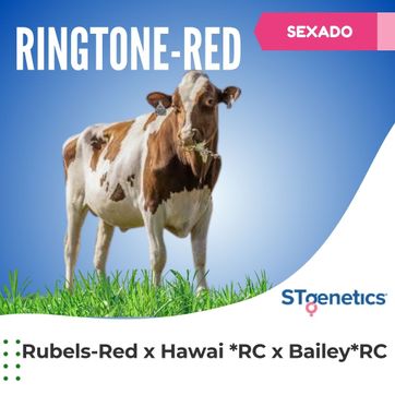 RINGTONE-RED SEXADO - imagen 1