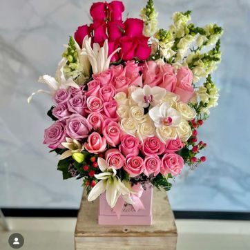 Imagen del producto Ref.4021