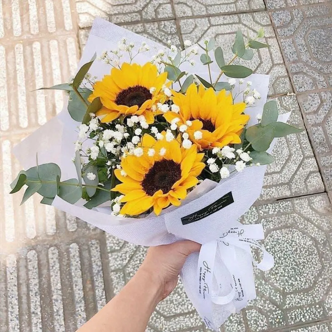 x3 girasoles