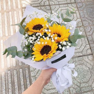 Imagen del producto x3 girasoles