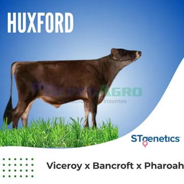 HUXFORD - imagen 1