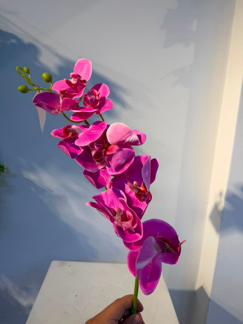 ORQUIDEA EN VARA X 9 FUCSIA