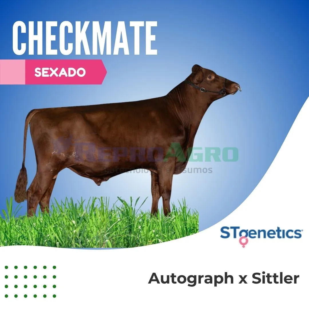 CHECKMATE SEXADO