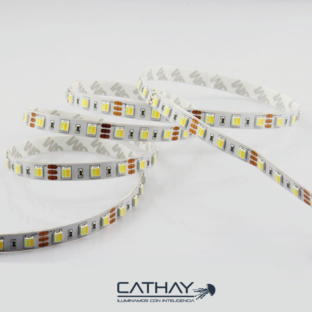 CINTA LED DUAL WW/W 24V/14W