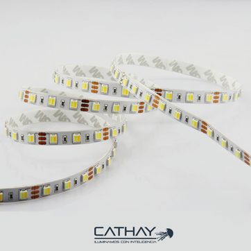 CINTA LED DUAL WW/W 24V/14W - imagen 1