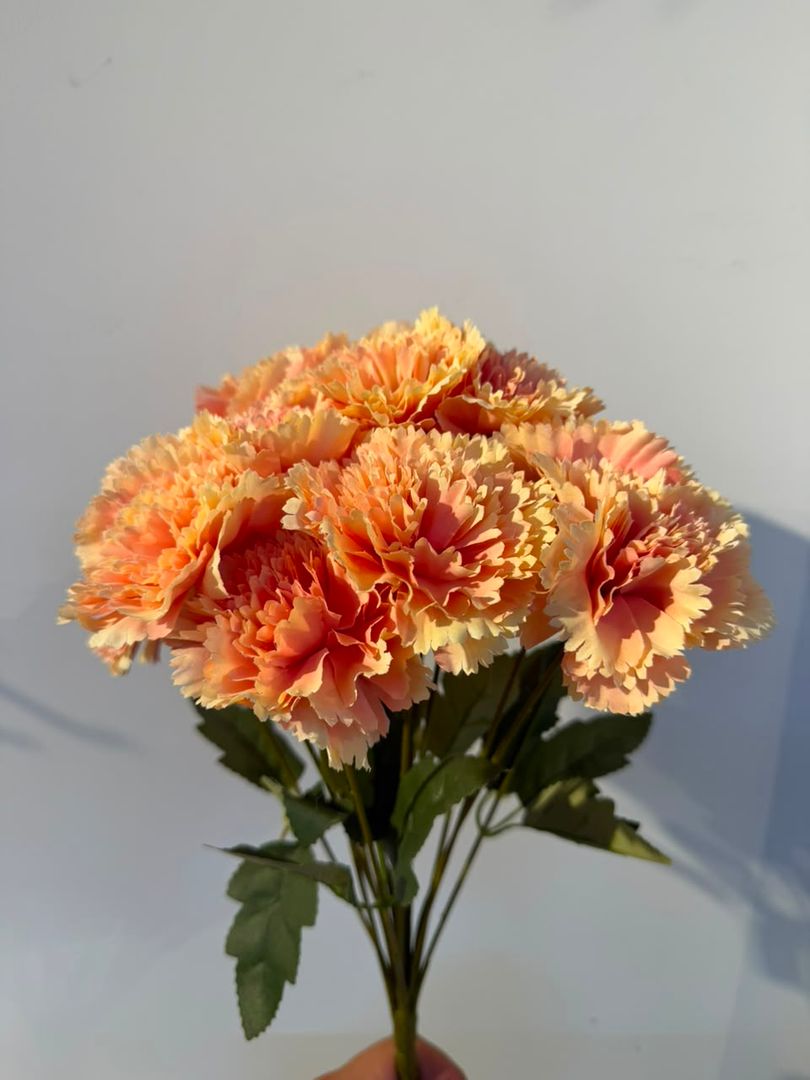 CLAVEL X 18 SALMON