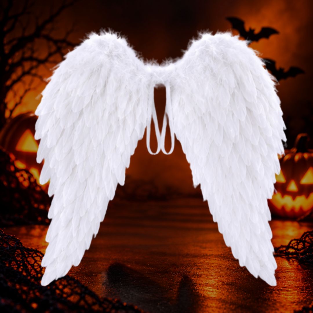Alas Angel Caído