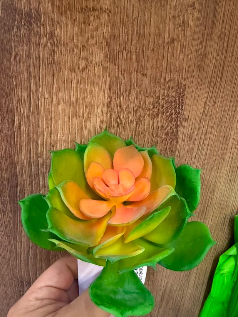 SUCULENTA TIPO FLOR 