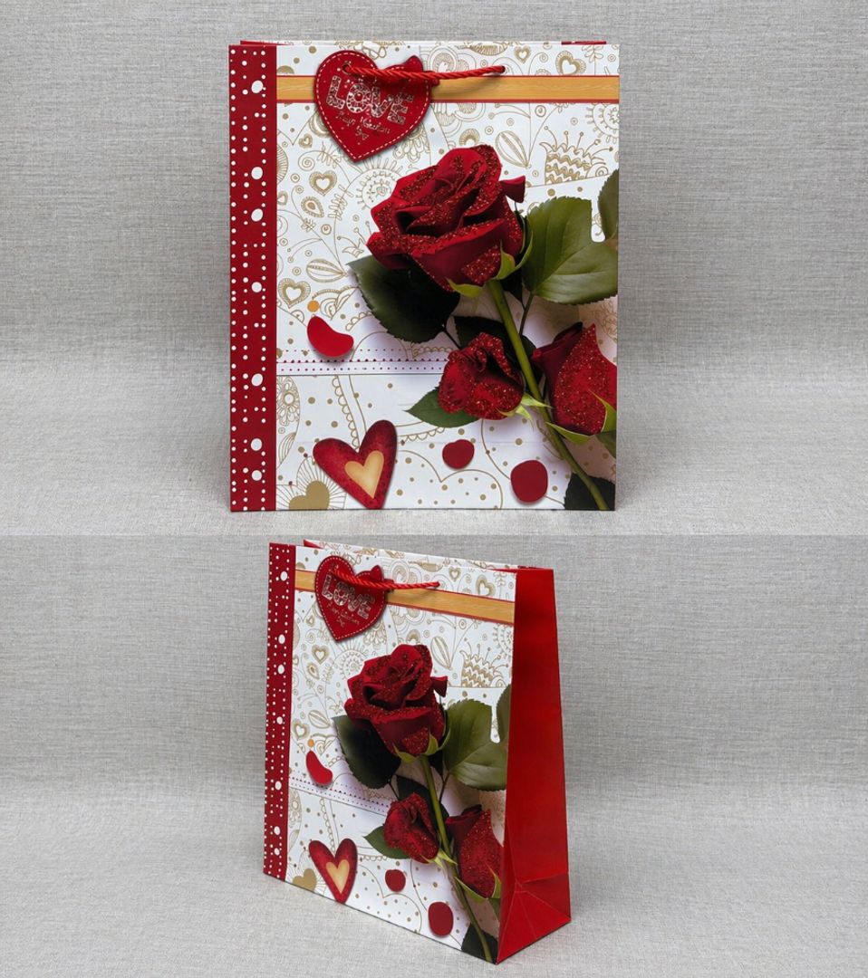 BOLSA DE REGALO SURTIDA 24X18 CM