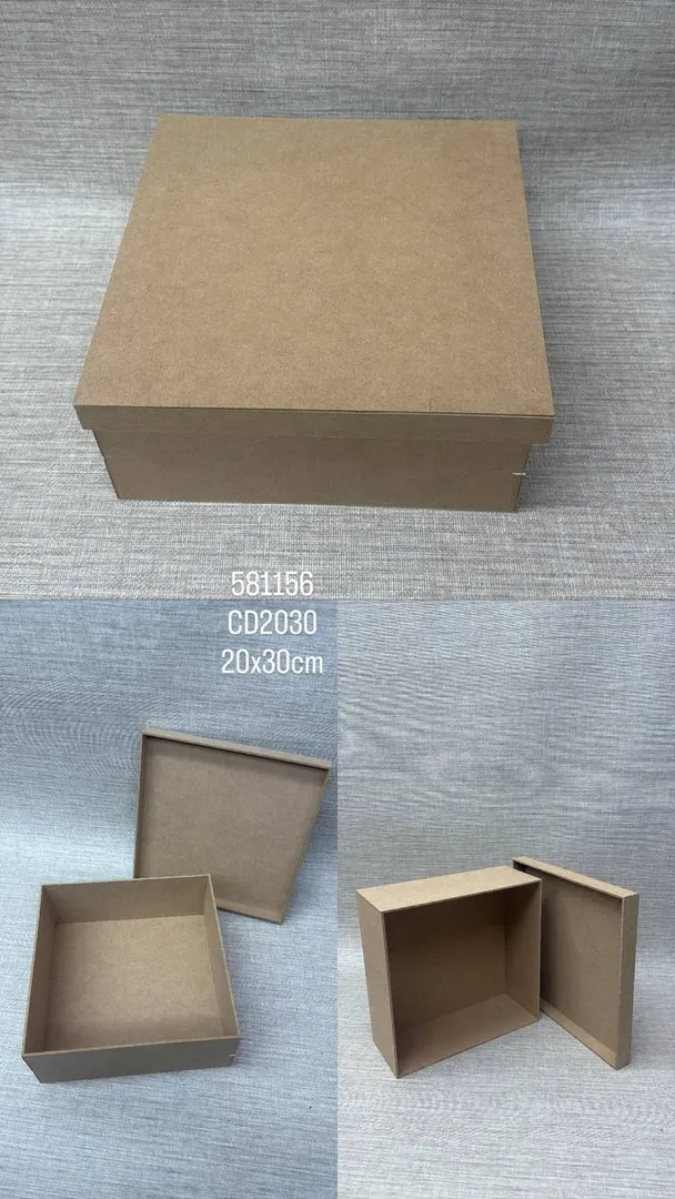 CAJA TAPA 20X30 CM