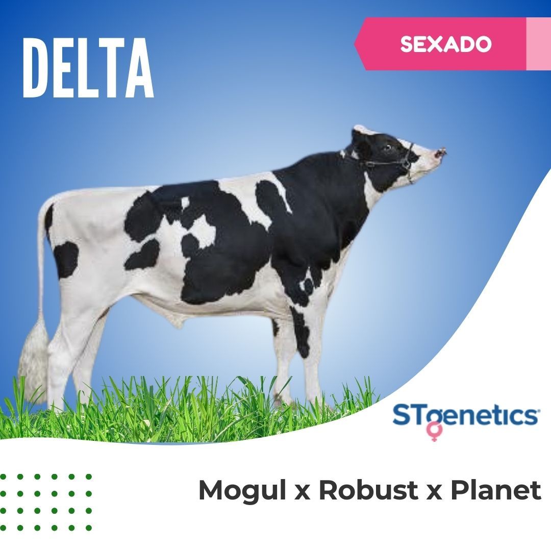 DELTA SEXADO