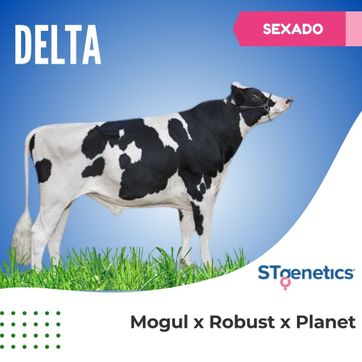 DELTA SEXADO - imagen 1