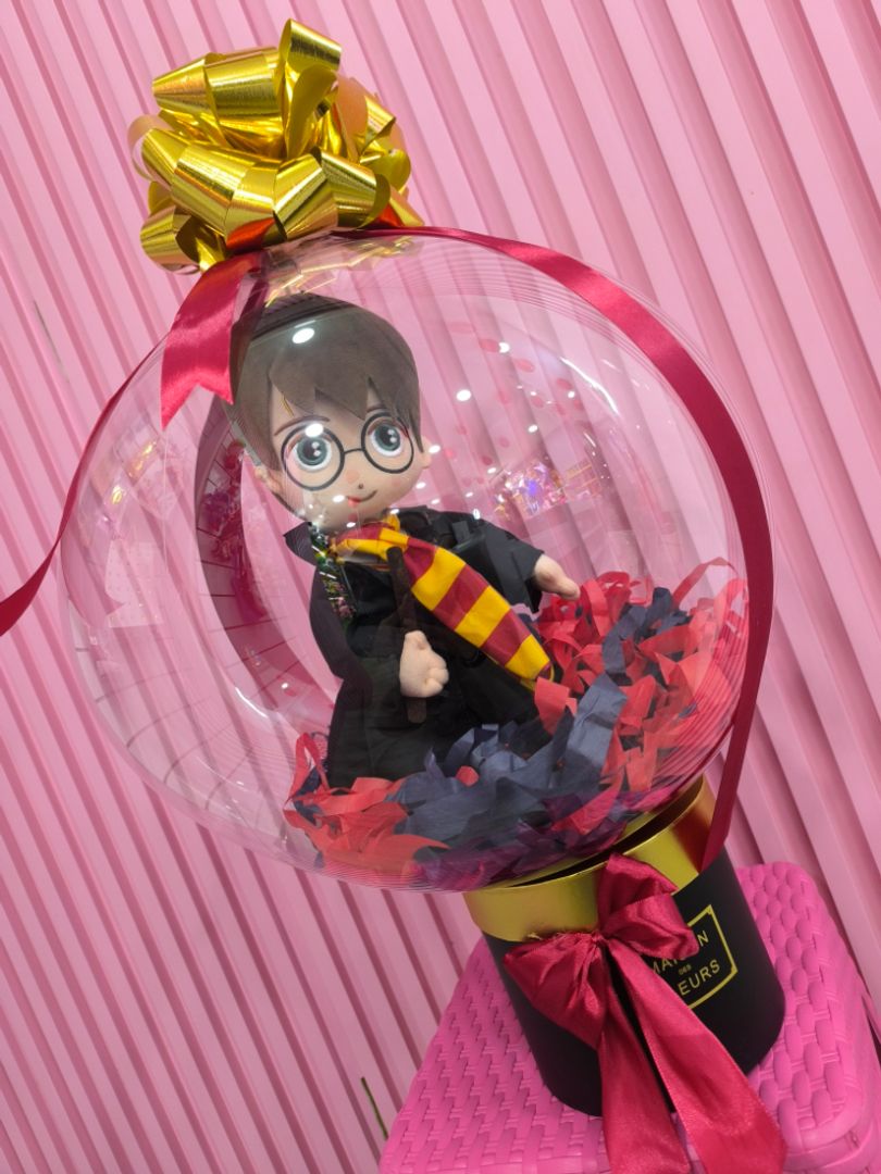 ENCAPSULADO DE HARRY POTTER 