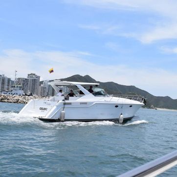 YATE CICLON I - imagen 1