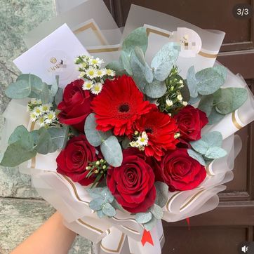 Imagen del producto Ref.03