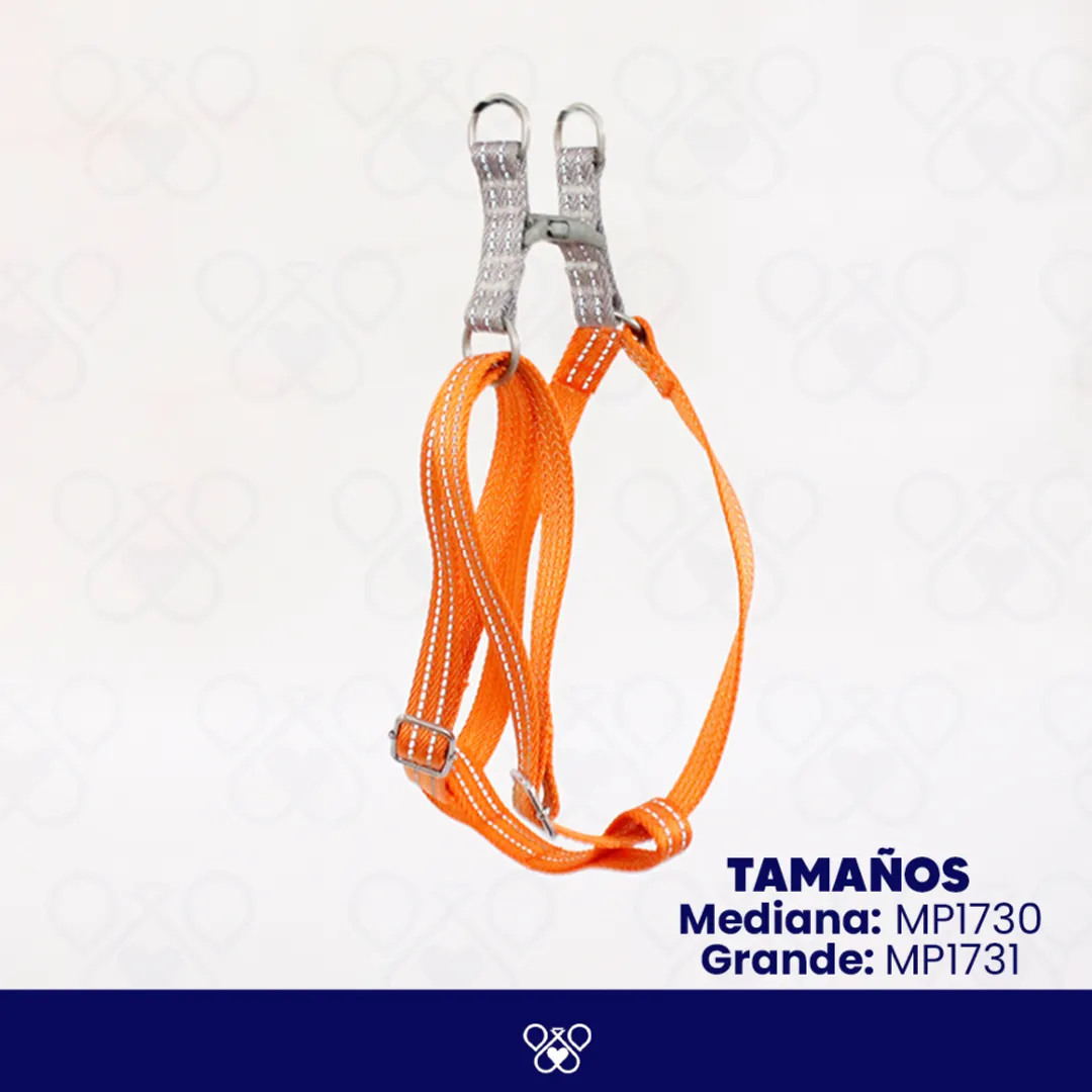 MP173-