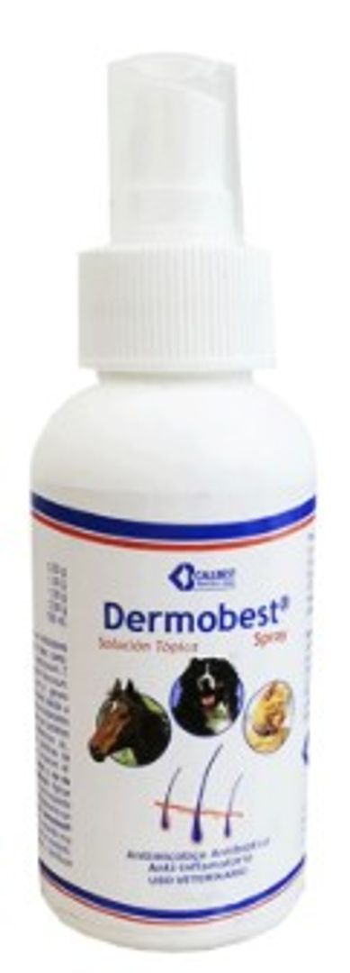 DERMOBEST SPRAY x 60 ml