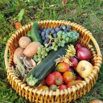Imagen del producto Costal de la Huerta