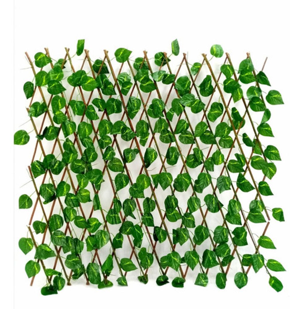 MALLA MADERA CON HIEDRA