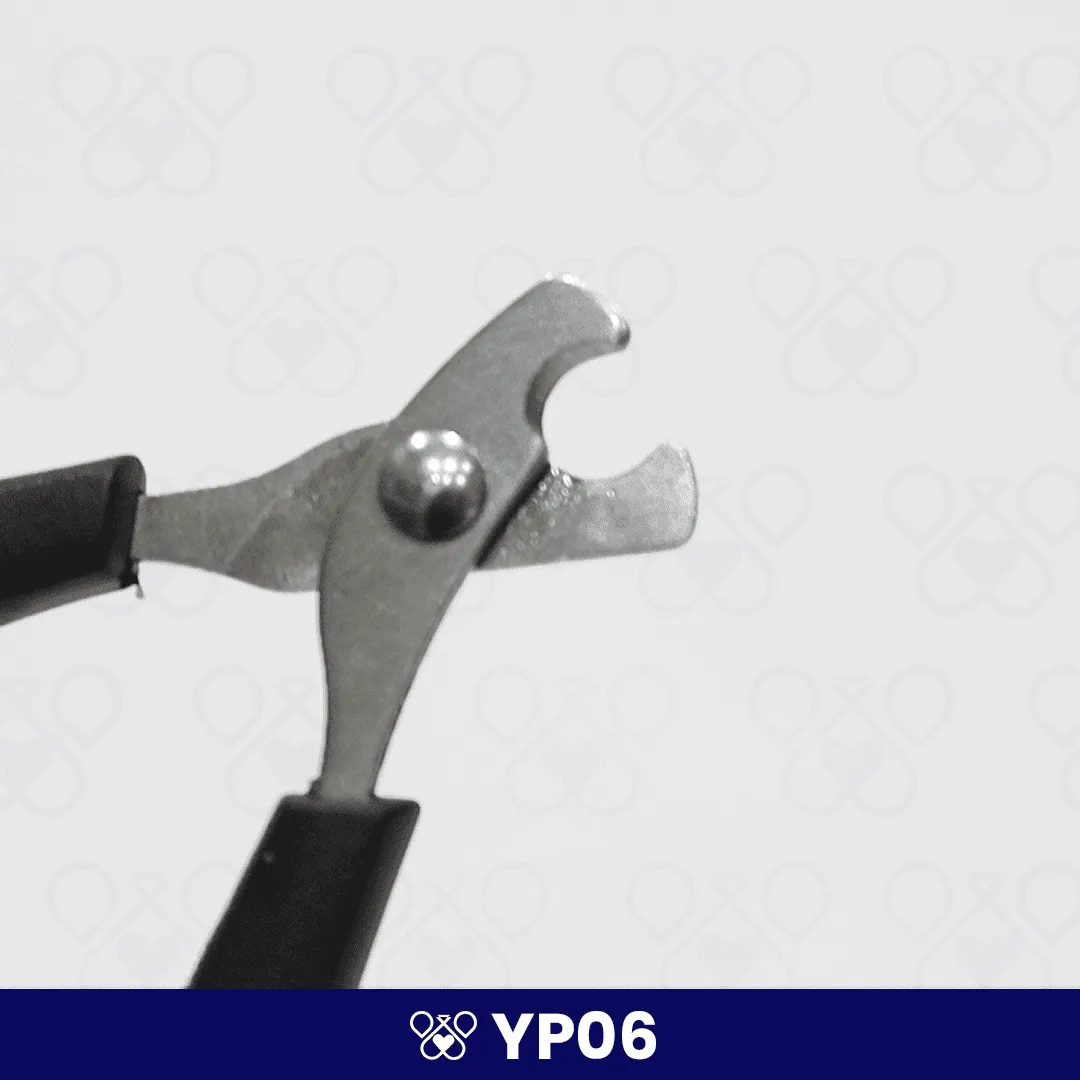 YP06