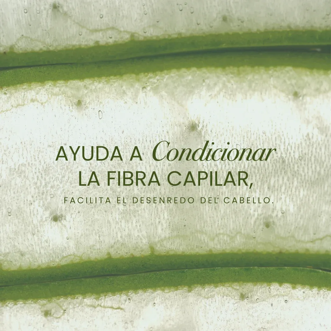 Acondicionador aloe Vera 