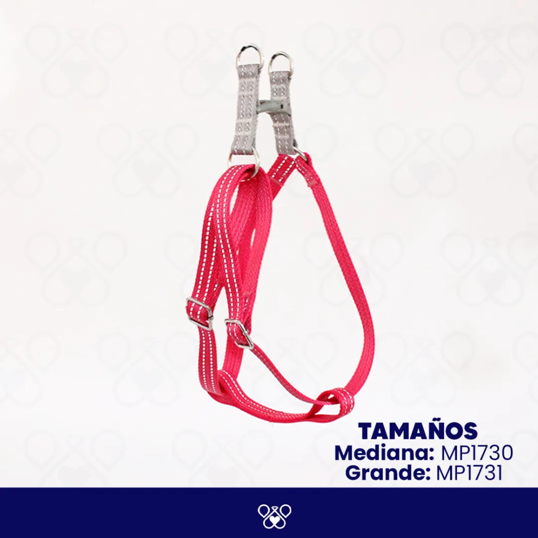 MP173-