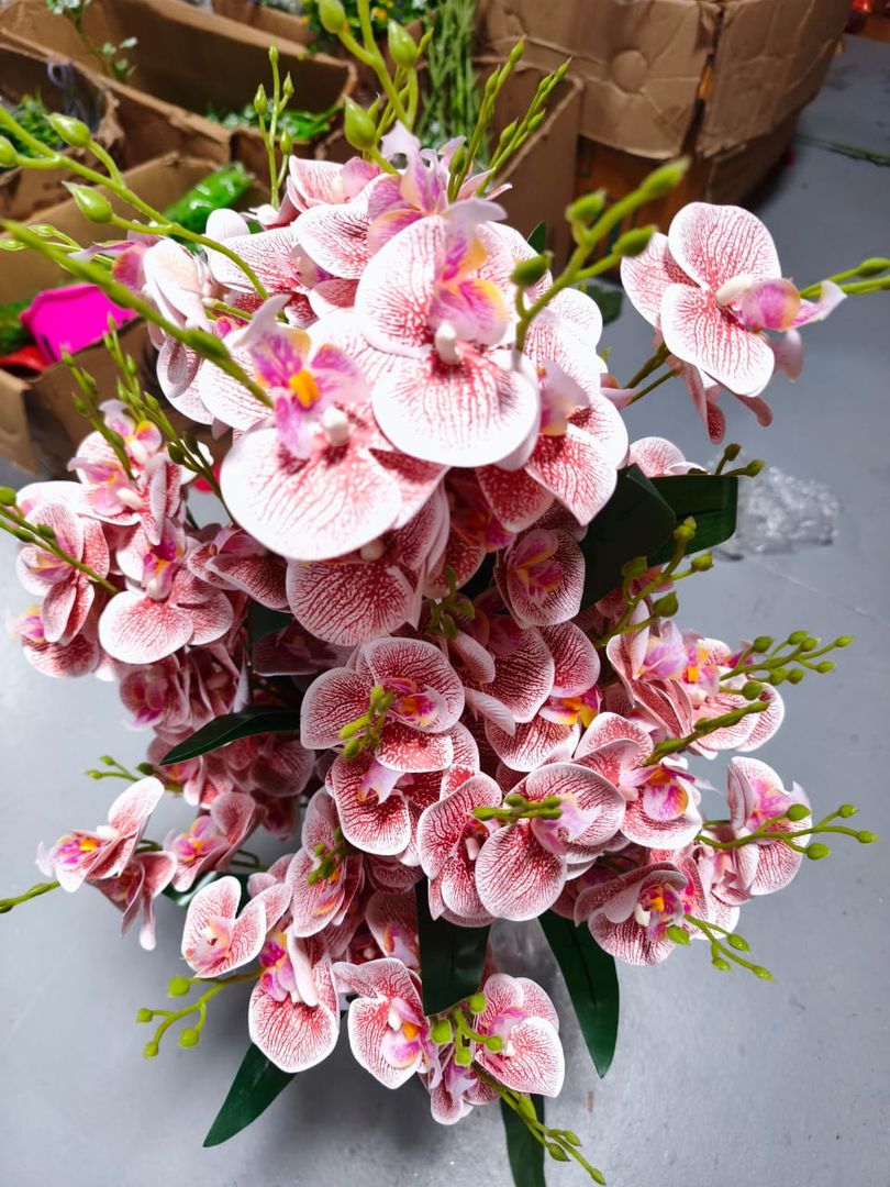 ARBOL ORQUIDEA RS/181