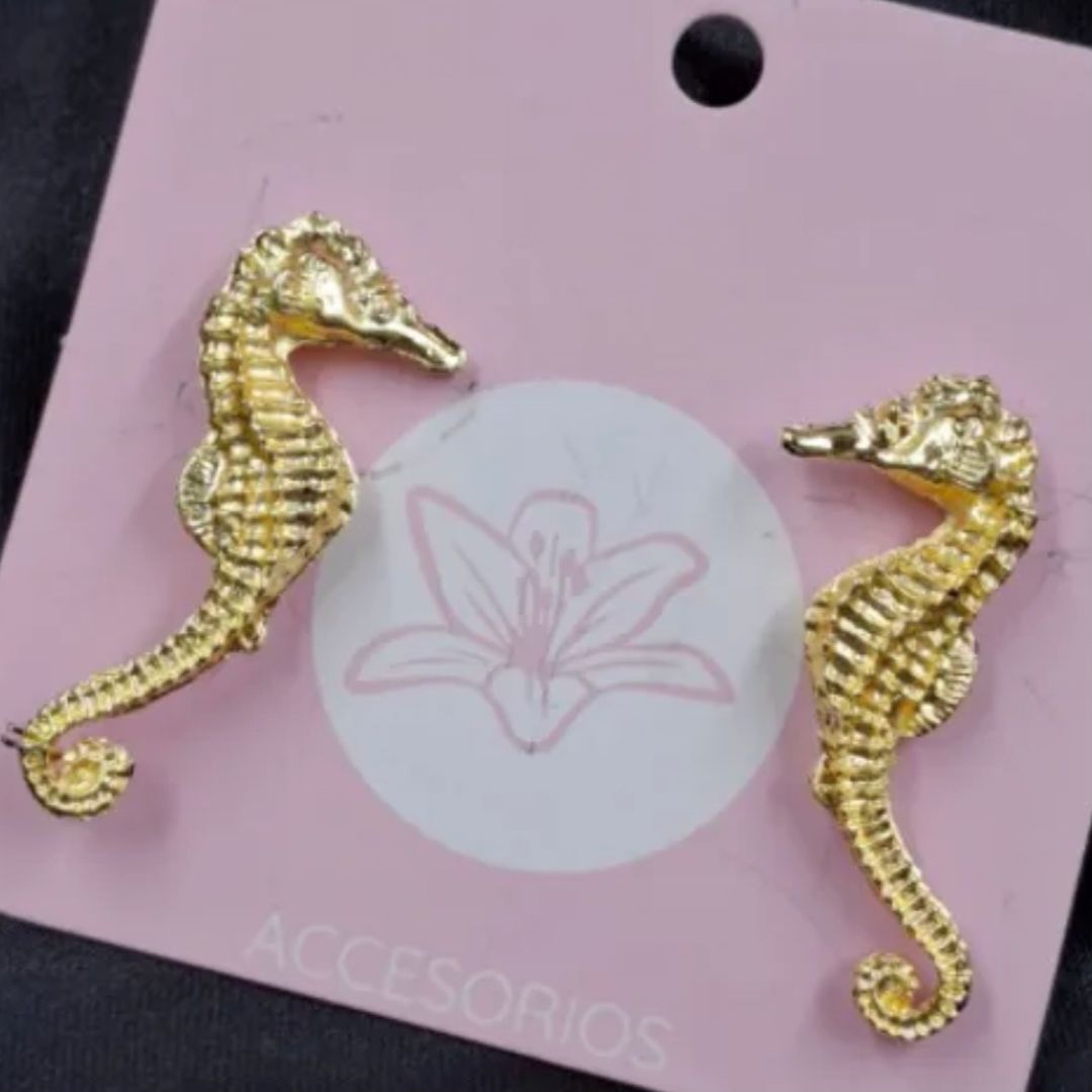 ARETA CABALLITO DE MAR 