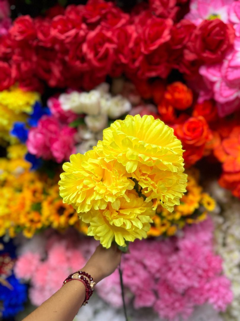 Flor copo de nieve 