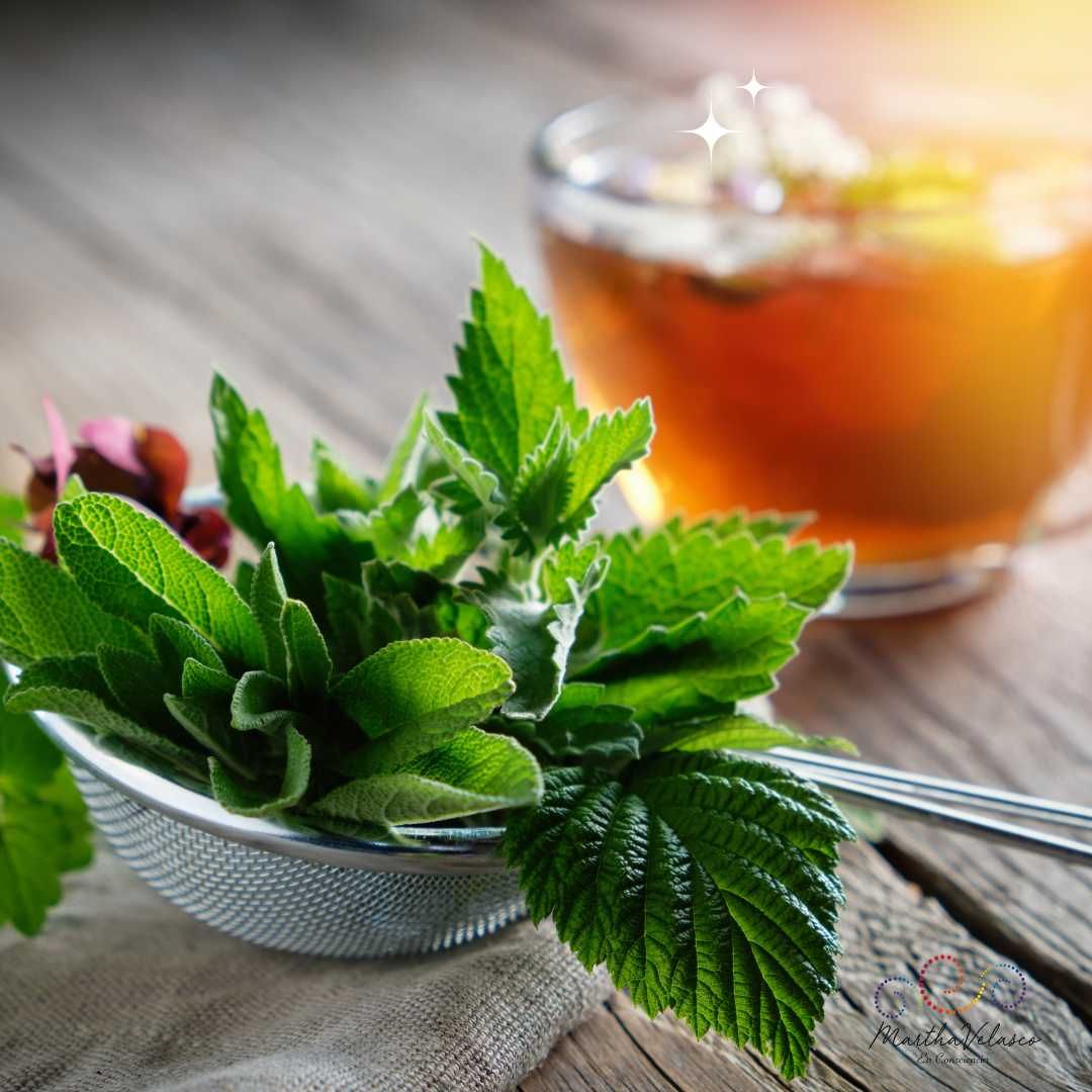 Curso Infusiones medicinales 