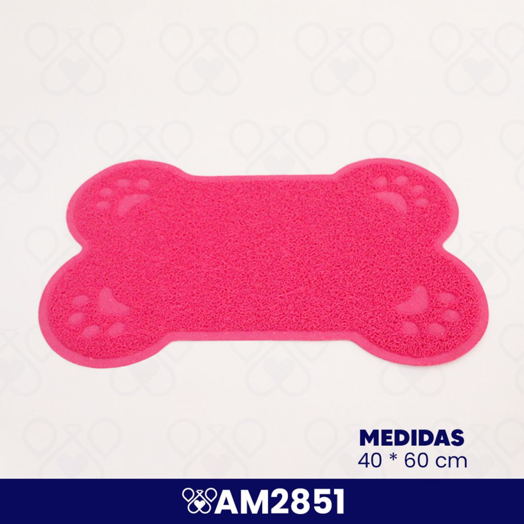 AM2851