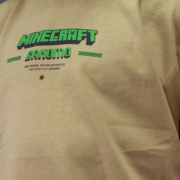 C. NIÑO C1 MINE CRAFT  - imagen 4