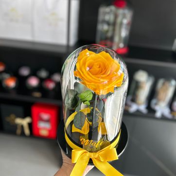 DOMO TRADICIONAL  - imagen 1