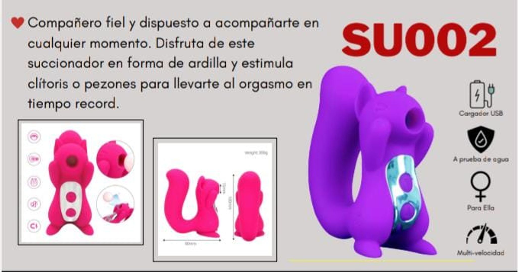 ARDILLA SUCCIONADORA