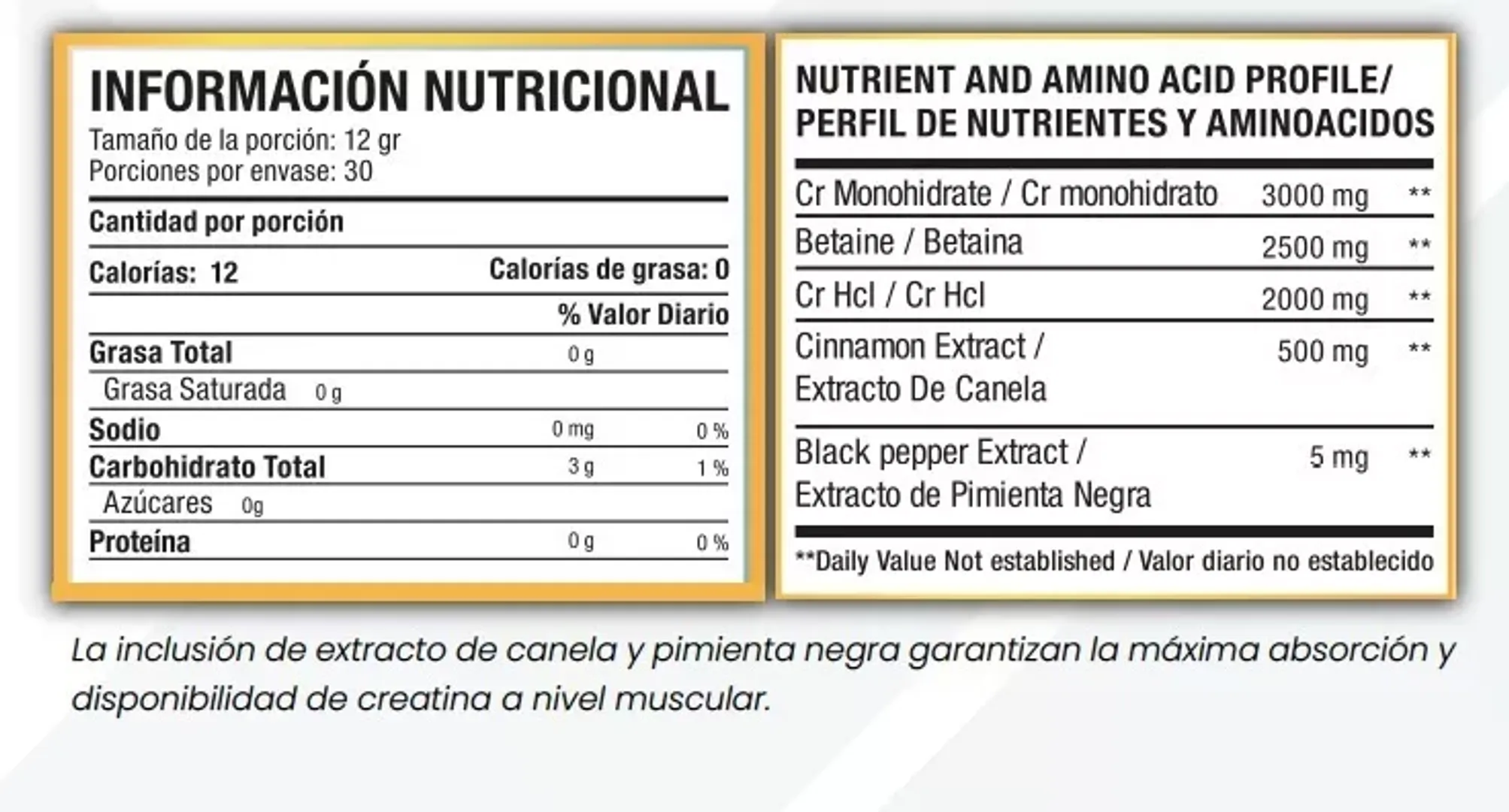 CR2 CREATINA MONOHIDRATO+ HCL MACROBLEND