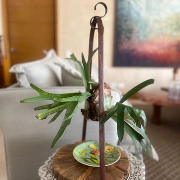 MINI PLATICERO  - imagen 2