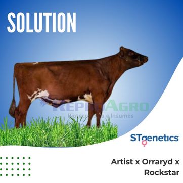 SOLUTION - imagen 1