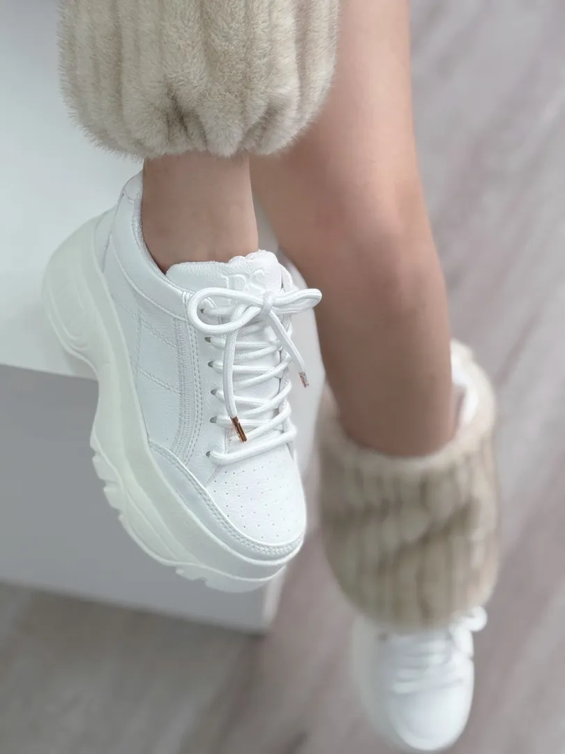 Fox blanco 