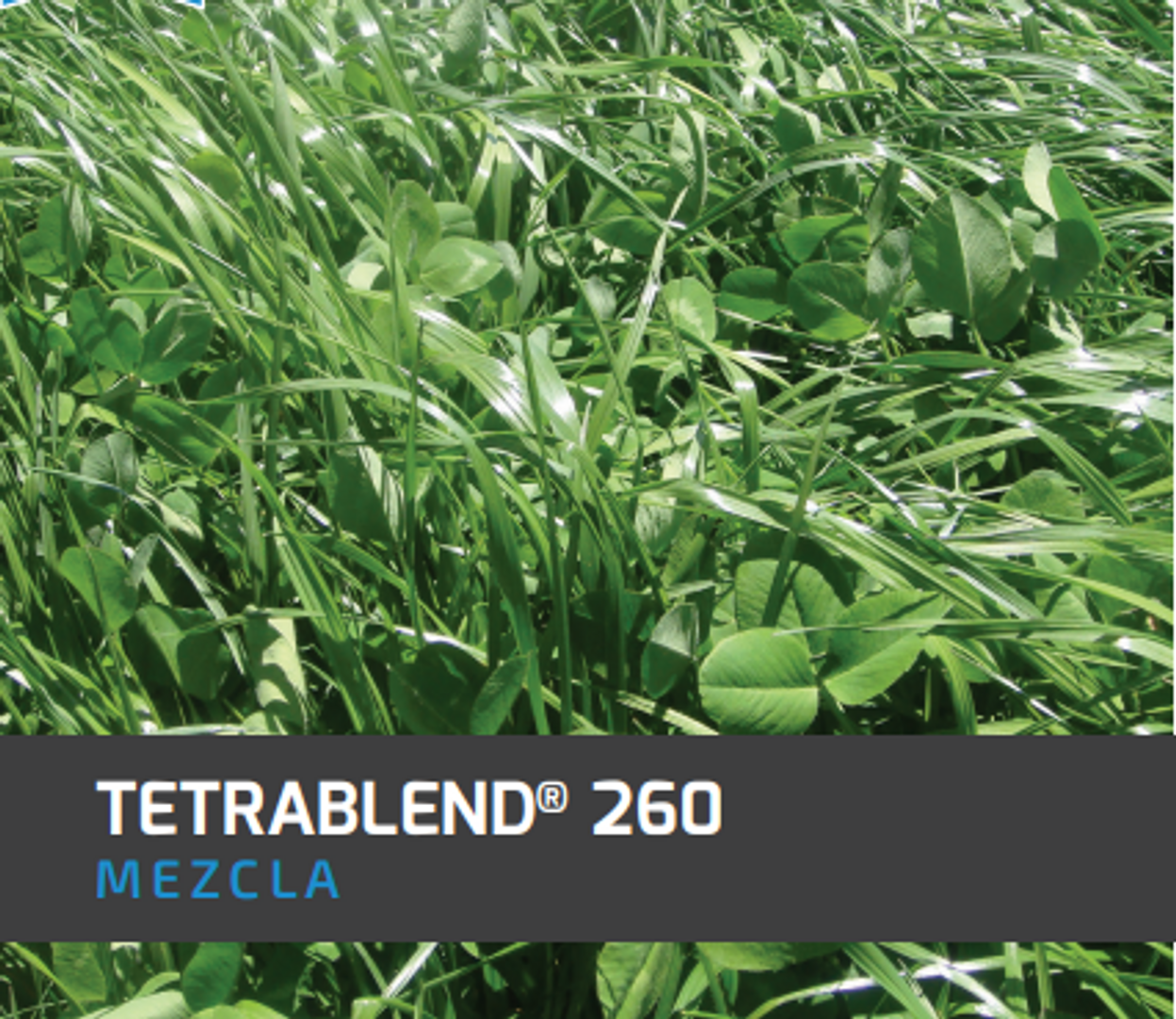 Tetrablend 260 x 50 LB