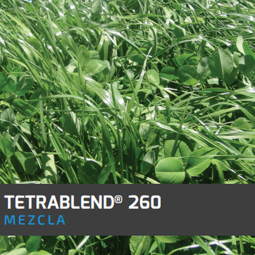 Tetrablend 260 x 50 LB - imagen 1
