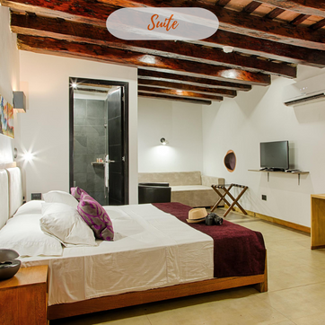 CASA CAROLINA - imagen 7