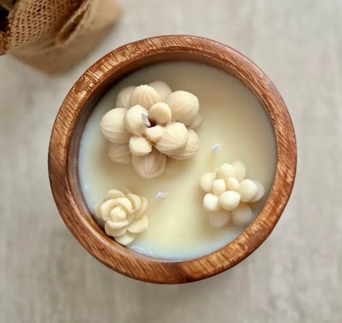 Vela Bois Succulent VENDIDA