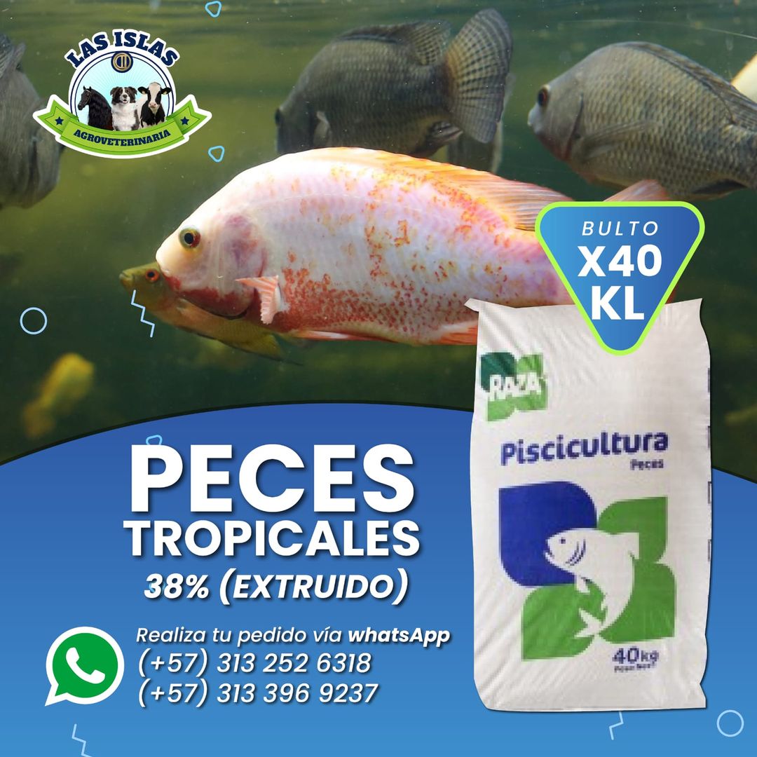 PECES TROPICALES 38%