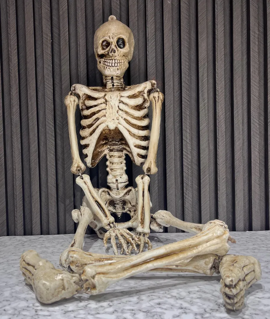 ESQUELETO  PLASTICO VOLUMEN