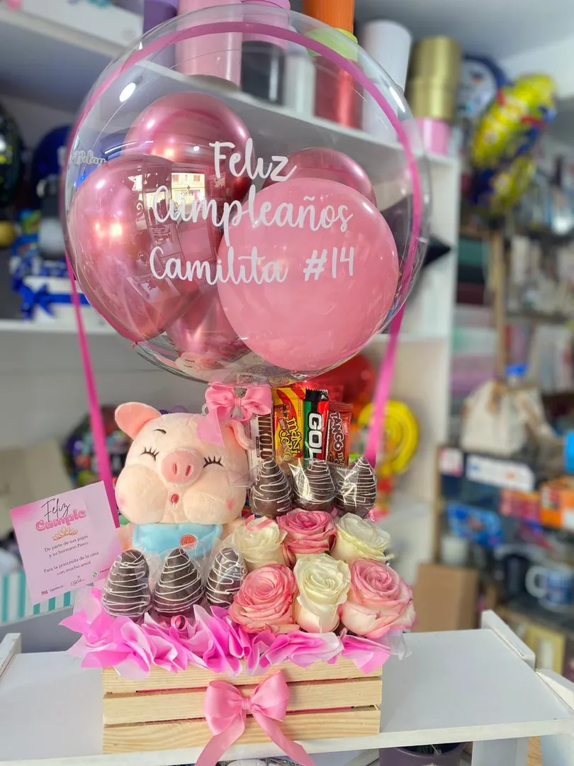 Peluche, frutilla, rosas y chocolates 