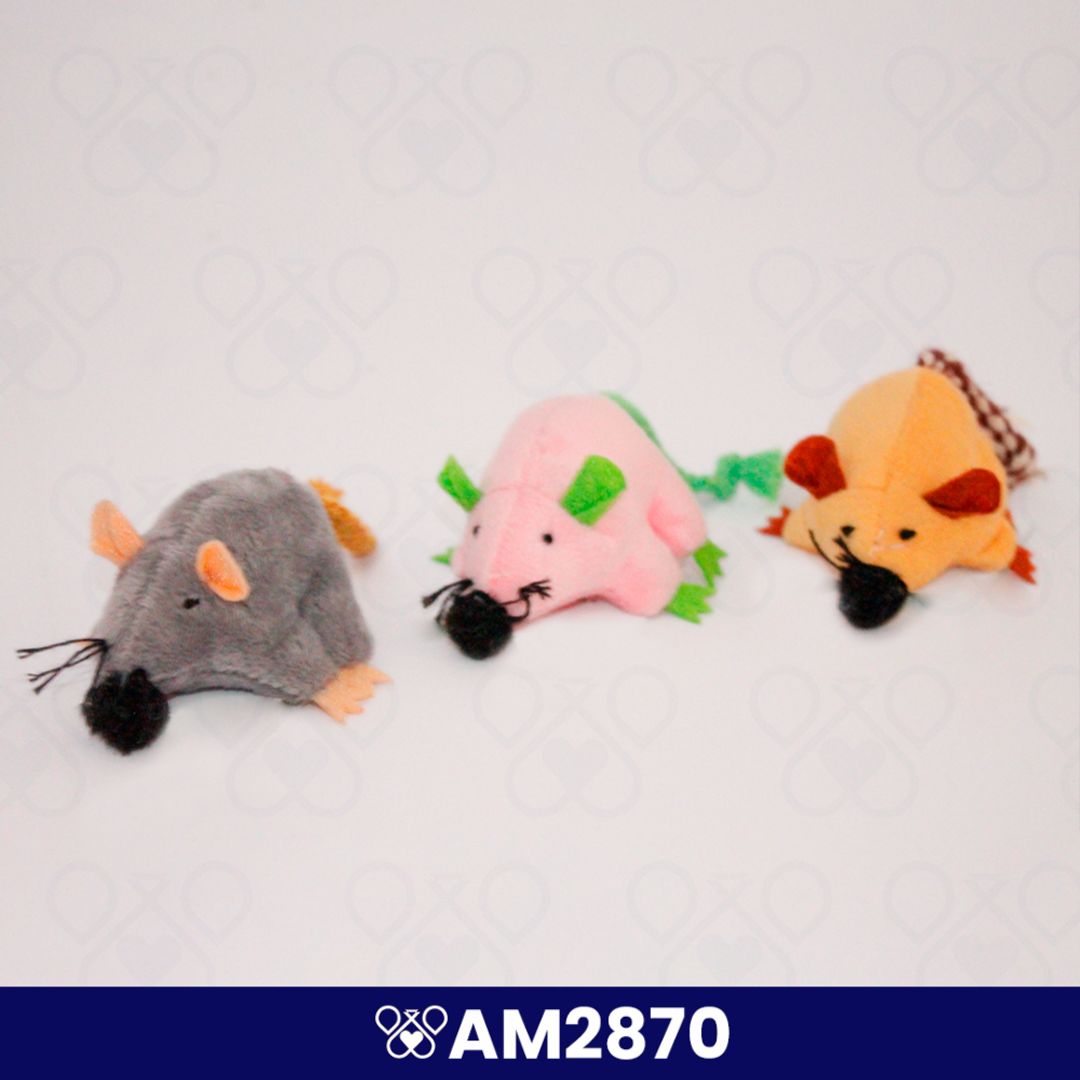 AM2870