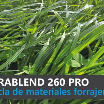 Tetrablend 260 Pro x Kilo - imagen 1