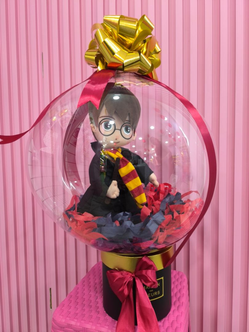 ENCAPSULADO DE HARRY POTTER 